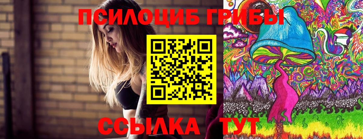 Псилоцибиновые грибы Psilocybe  Псилоцибиновые грибы GOLDEN TEACHER  Протвино  Вход с VPN 