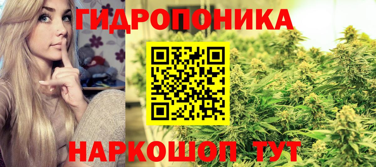 Шишки марихуана Amnesia Протвино
